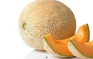 小胖吃哈密瓜视频大全集,趣味视频大全集回顾