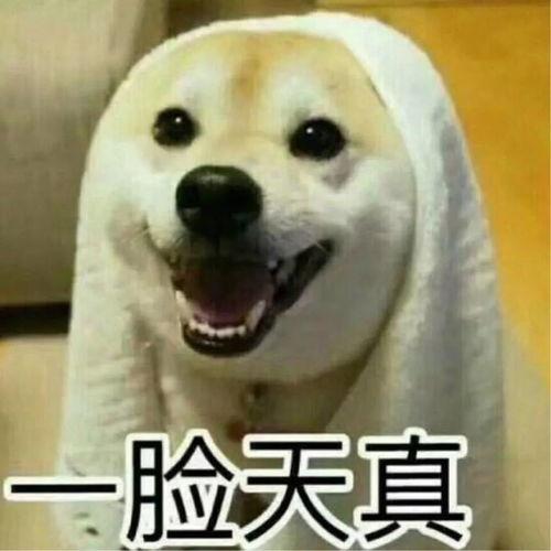 搞笑视频吃瓜情侣头像大全