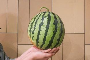 17度吃瓜视频,揭秘娱乐圈幕后真相，带你领略明星们的真实生活