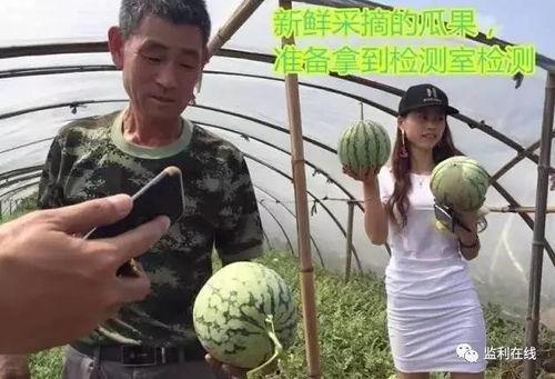 吃瓜视频群众直播,吃瓜群众揭秘网络直播幕后