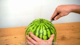 金寨吃瓜视频,揭秘当地特色美食与风土人情