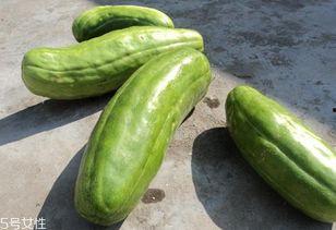 八棱脆瓜怎样吃才好吃视频,八棱脆瓜美味吃法大揭秘