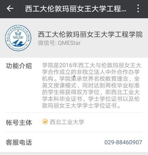吃瓜公众号介绍大全视频,带你领略热门话题背后的精彩故事