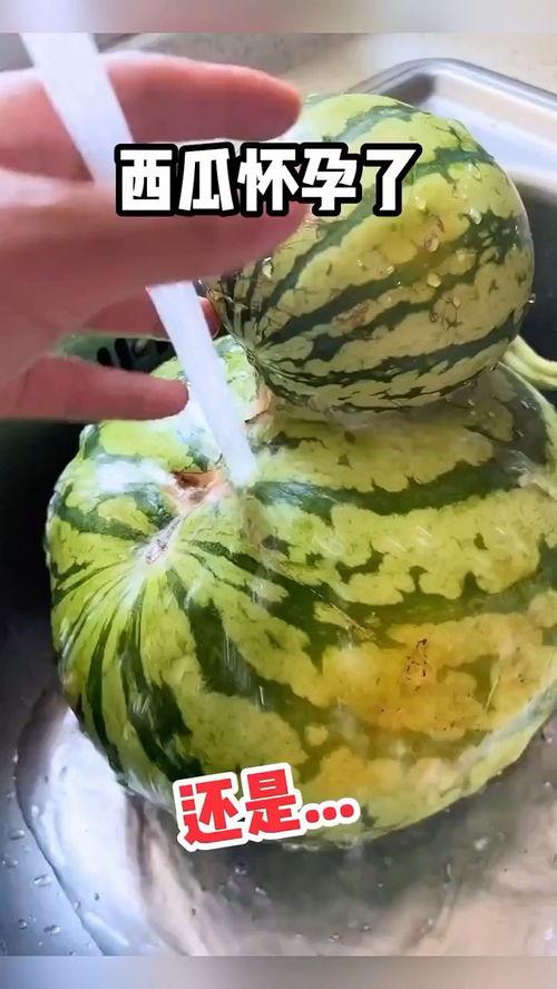 各种吃瓜搞笑视频,笑出腹肌的瞬间