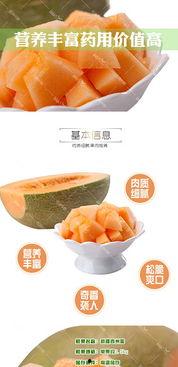吃哈密瓜素材视频大全,视频大全带你领略瓜果盛宴