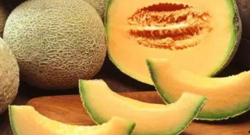 趣味吃哈密瓜的故事视频