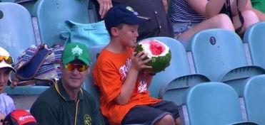 真实吃瓜 小男孩视频在线观看,萌态可掬，网友直呼可爱爆表