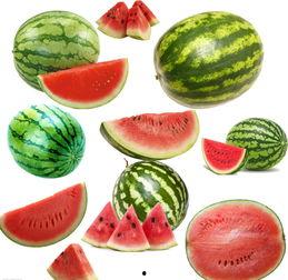 南交吃瓜视频,揭秘娱乐圈幕后故事