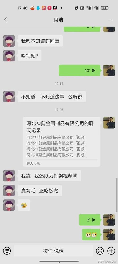 吃瓜视频河北永年,吃瓜群众聚焦的焦点事件