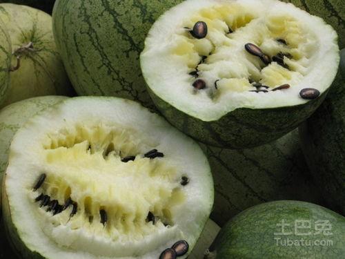 吃籽瓜搞笑视频