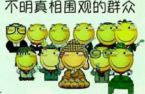 吃瓜群众早安视频,揭秘娱乐圈最新热点