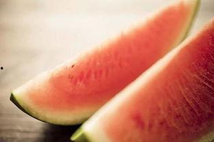 吃无籽瓜视频,视频带你轻松种植与品尝