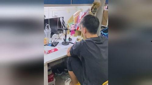 宿舍吃瓜闹鬼视频,吃瓜视频揭秘闹鬼之谜