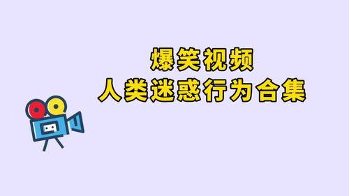 吃瓜流爆笑视频,笑到肚子疼
